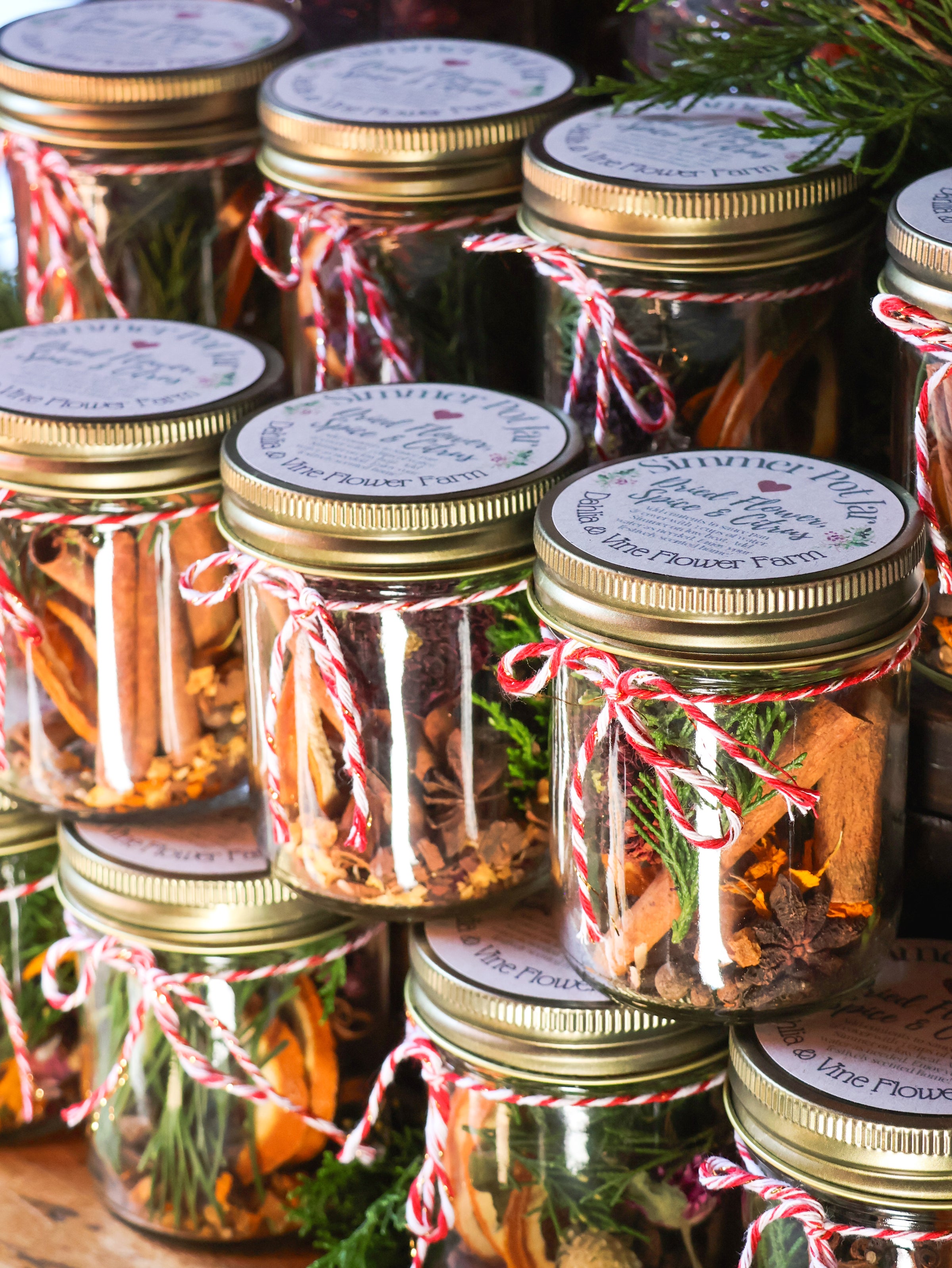 Simmer Pot Jar - Dried Flower, Spice & Citrus | Dahlia & Vine