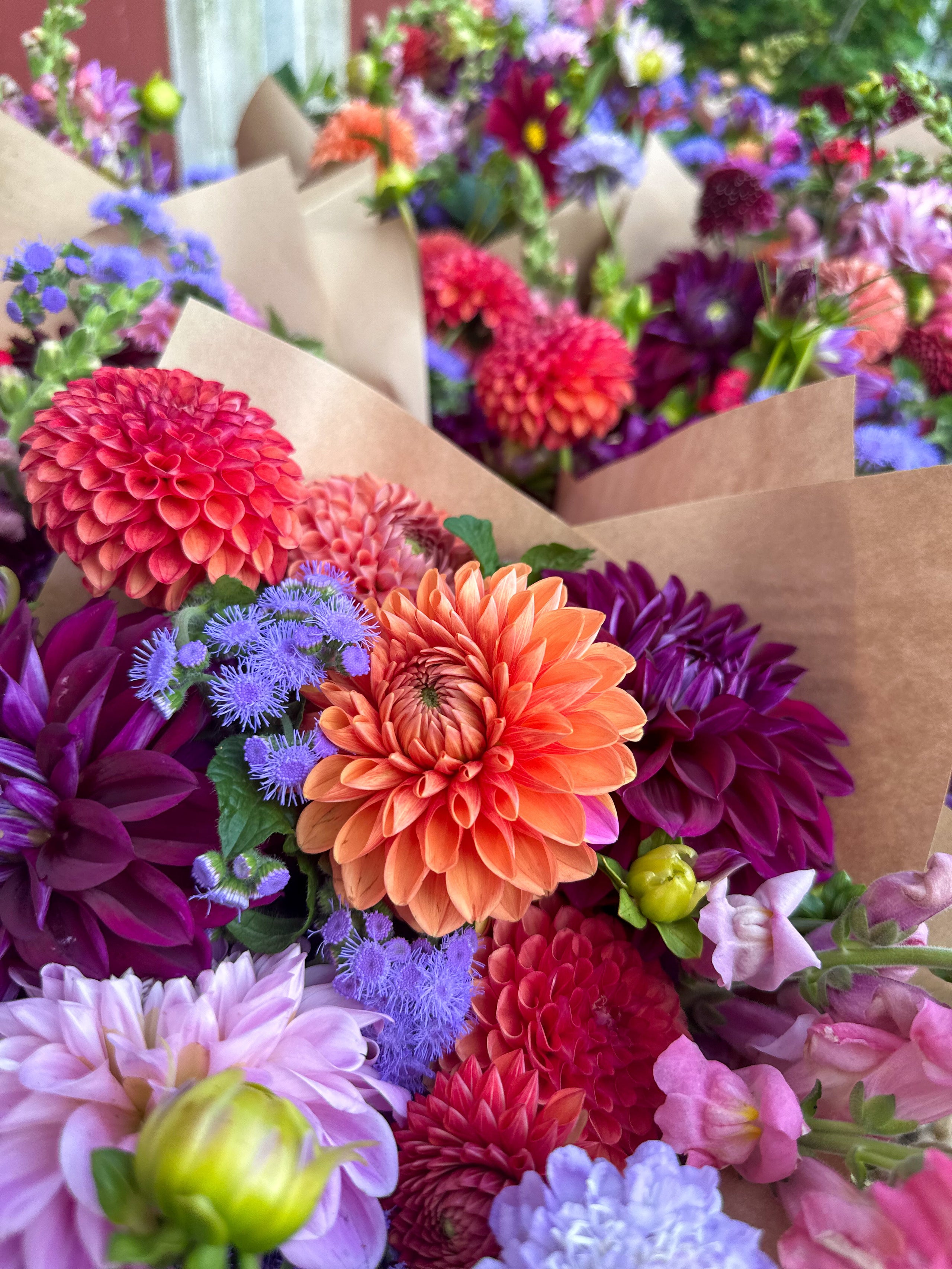 Weekly CSA Bouquet Subscriptions FreshCut Flowers Grown in Southern