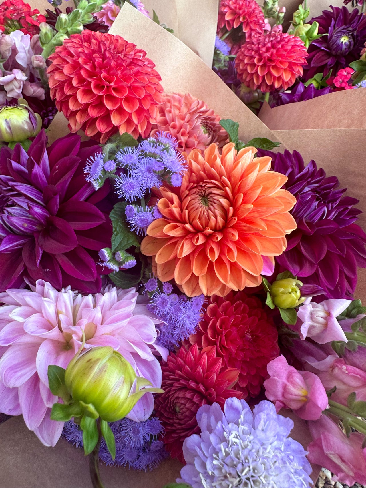 Available Flowers Farm Fresh SpecialtyCut Flowers Grown in Southern